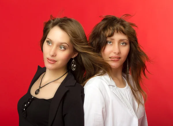 Giovani belle sorelle gemelle ritratto — Foto Stock