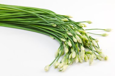 Chives flower clipart