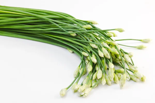 Chives flower — Stock Photo, Image