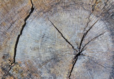 Old wood texture clipart