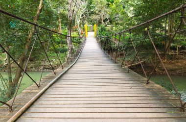 Rope walkway through the treetop clipart