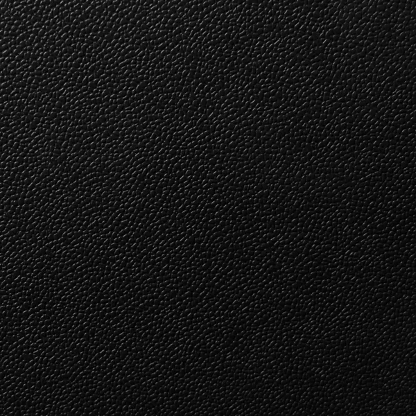 黑黑皮革 — 图库照片