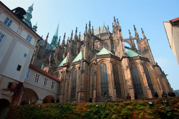 Catedral de Praga histórica y paseo turístico alrededor —  Fotos de Stock