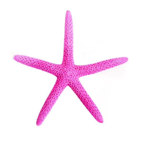 Pink starfish — Stock Photo, Image