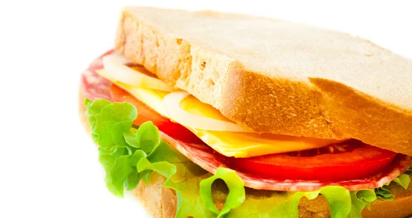 Tasty juicy sandwich — Stock Photo, Image