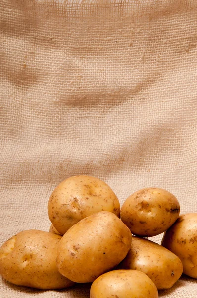 Aardappelknollen — Stockfoto