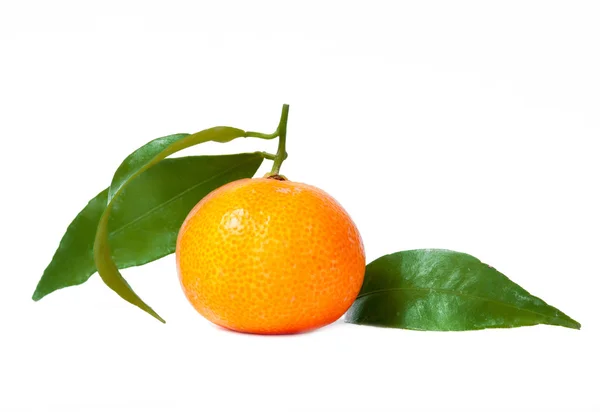 新鲜橘子 — 图库照片