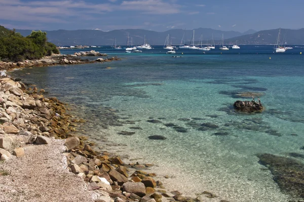 stock image Beach of Campomoro