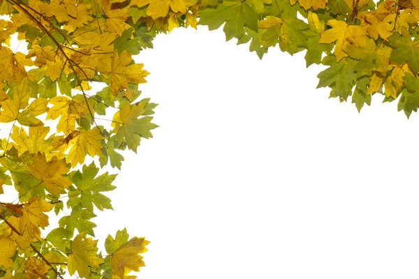 Autumn Frame — Stock Photo, Image