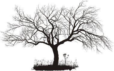 Apple tree clipart