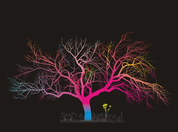 Sihirli ağaç — Stok fotoğraf