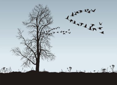 Chestnut and Wild Geese clipart