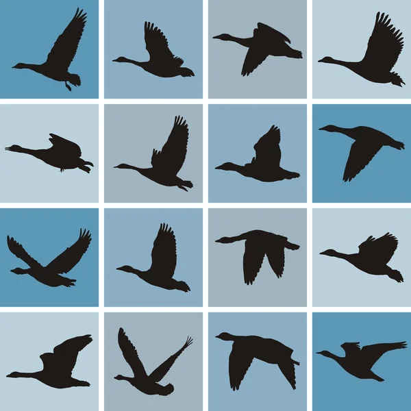 Patrón de gansos salvajes — Archivo Imágenes Vectoriales