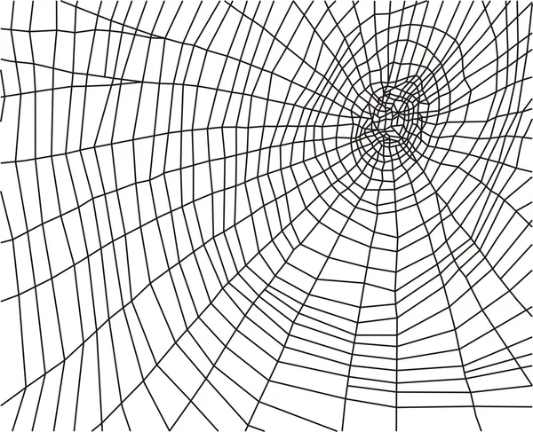 Spinnweben — Stockvektor