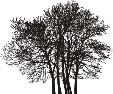 Group tree clipart