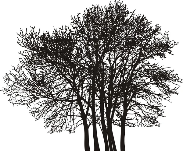 Grupp träd — Stock vektor