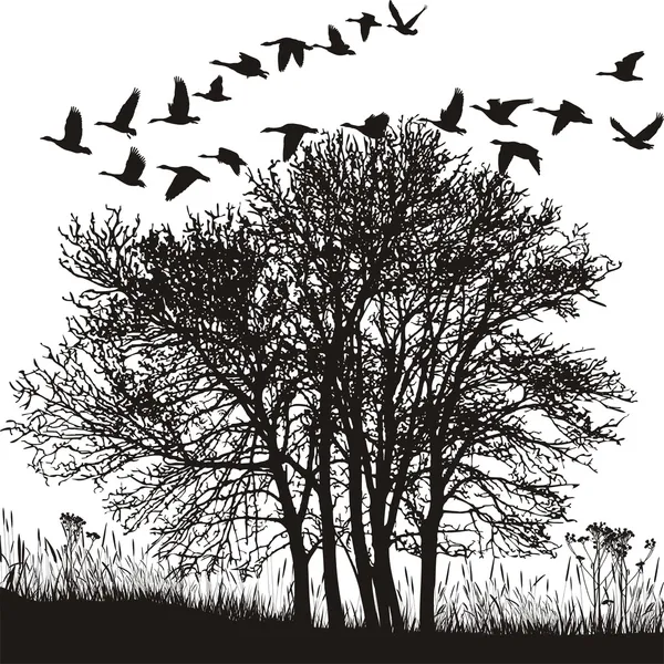 Paysage d'automne et oies migratrices — Image vectorielle
