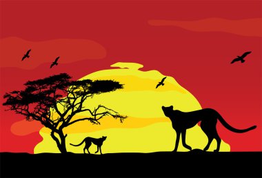 Vahşi Afrika hayvanları gün batımında