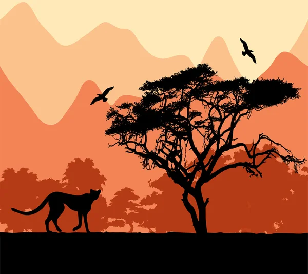 Animali selvatici africani — Vettoriale Stock