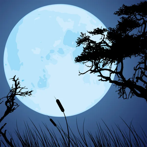 Φεγγάρι και silhouettes κλάδοι του δέντρου — Διανυσματικό Αρχείο