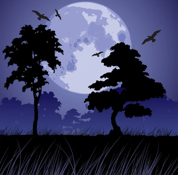 Månen och silhuetter av träd — Stock vektor