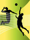 Volleyball players — Stock Vector © nebojsa78 #2574804