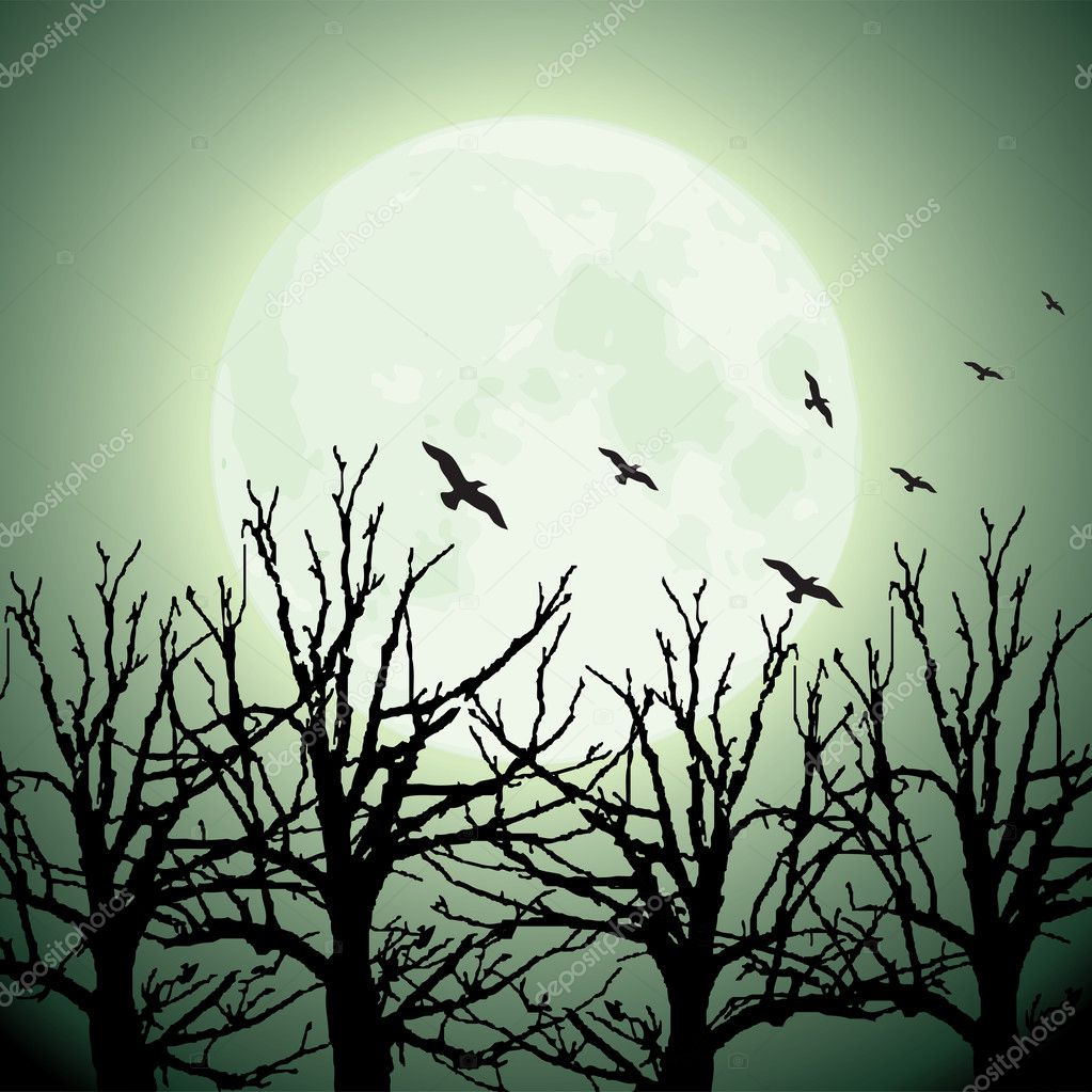 Big moon, trees and birds