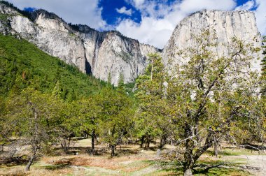 Yosemite şelale