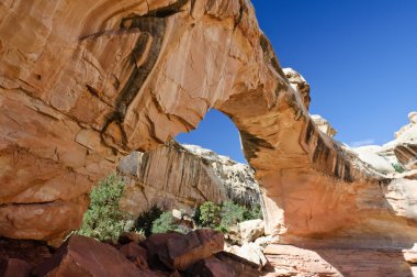 Hickman bridge natural rock arch