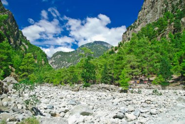 Samaria Gorge. Greece, Crete, White Mountains clipart