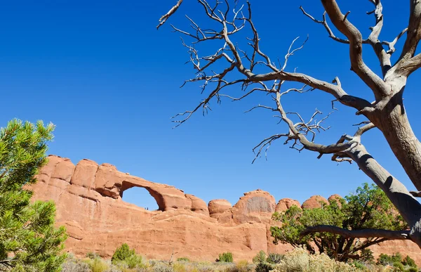 Strange rock formations at Arches National Park — Stockfoto