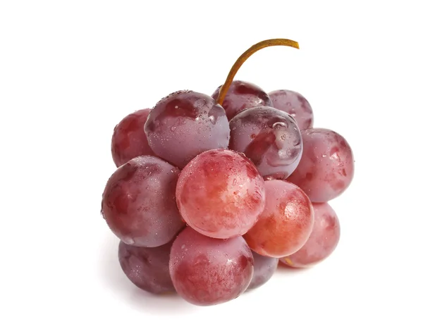 Red grapes isolated on white background — Stock Photo, Image