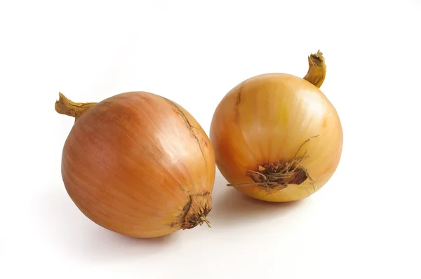 Stock image Onion isolated on white background