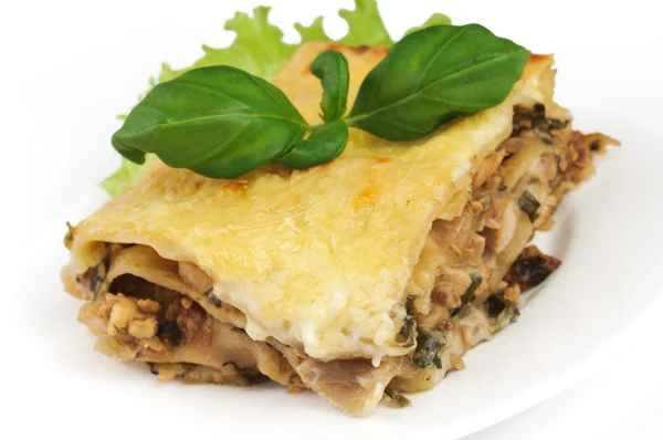 stock image Lasagna on white plate