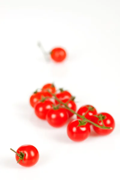 Tomaten hoch — Stock fotografie