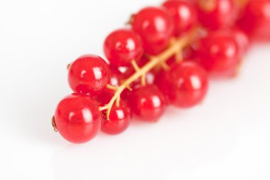 Johannisbeeren