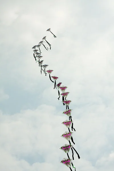 Drachenschlange — 图库照片