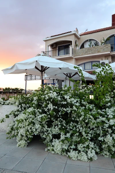 塞浦路斯夏天的晚上。花卉园附近房子. 免版税图库图片
