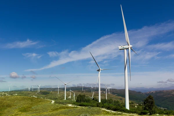 View of a wind farm with a blue sky and clouds. — Stock Photo, Image