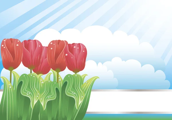 Fundo bonito com tulipas e nuvens — Vetor de Stock