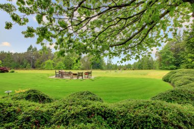 Large meadow with sitting area and garden clipart