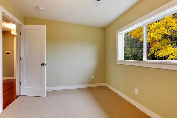 Lege nieuwe groene kamer met beige tapijt. — Stockfoto