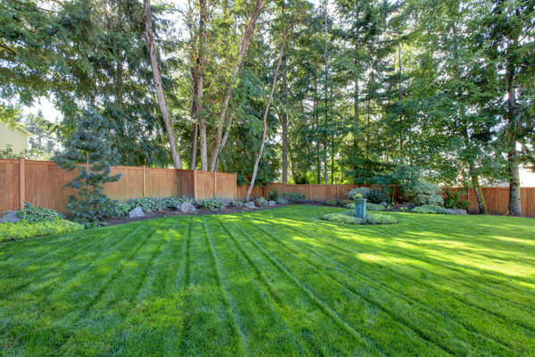 Большой огороженный задний двор с зеленой травой
