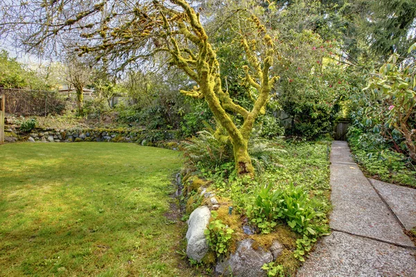 Jardín de primavera cerca de la casa — Foto de Stock