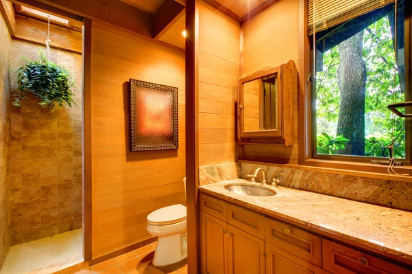 Ванная комната с сидр стены и вид на деревья — стоковое фото