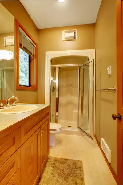 Salle de bain avec douche et murs verts — Photo