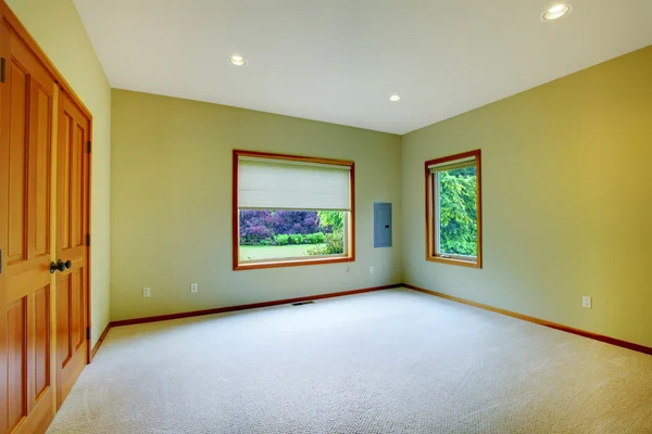 Большая зеленая спальня с двумя окнами — стоковое фото