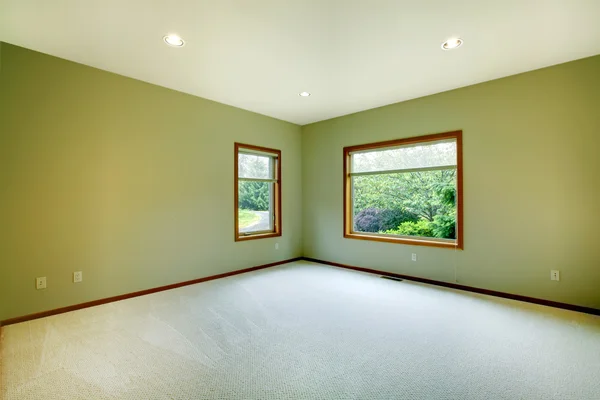 Большая пустая комната с зелеными стенами — стоковое фото