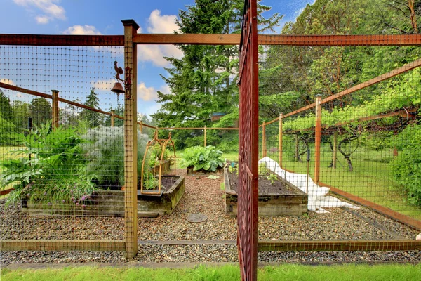 Légumes petit jardin clôturé — Photo