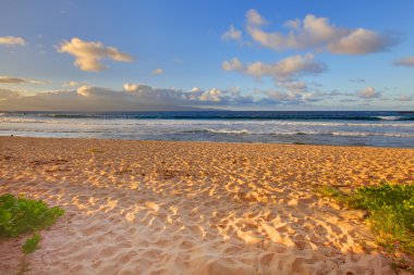 Tropical gold sand beach. Oneloa Beach, Maui, Hawaii clipart